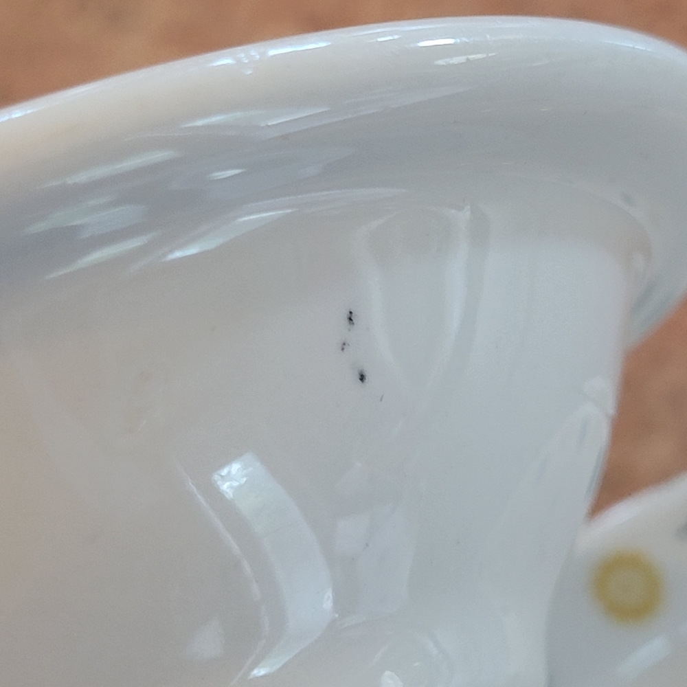 Homer Laughlin Fruit Salsa Dessert Dishes (2) ~ 1960s ~ MCM ~ Retro ~ Floral - Picture 14 of 16